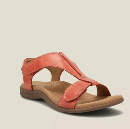 L'Élégance Citadine